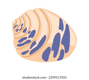Seashell. Summer vacation, tropical beach shells. Perfect for print, postcards and textile. Hand draw vector illustration isolated on white background.