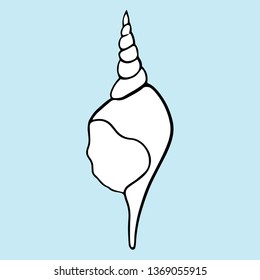 Seashell summer vector illustration 