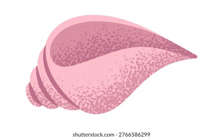 Seashell Swirl With Grainy Texture Cartoon