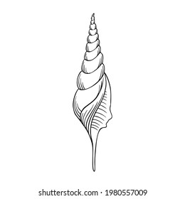 Seashell thin line icon, animal and underwater, shell sign vector graphics, a linear pattern on a white background, eps 10.