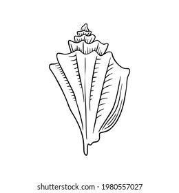 Seashell thin line icon, animal and underwater, shell sign vector graphics, a linear pattern on a white background, eps 10.