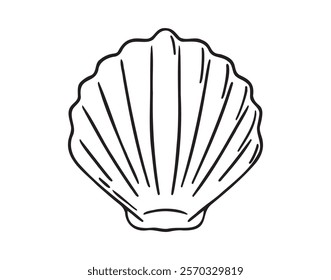 Seashell top view doodle hand drawn icon. Outline drawing Seashell top view line clipart symbol. Vector illustration