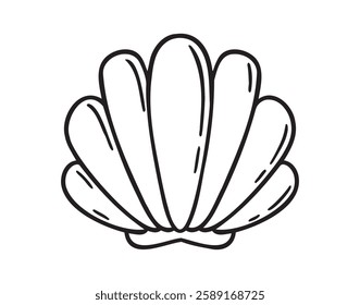 Seashell top view doodle hand drawn icon. Outline drawing Seashell top view line clipart symbol. Vector illustration