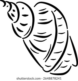 Seashell top view sketch for poster print branding beach products eco stationery natural labelsVector illustration