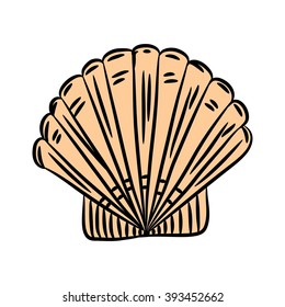 seashell vector