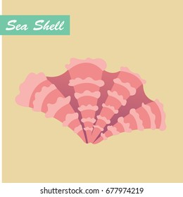 Seashell vector.