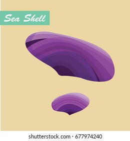 Seashell vector.