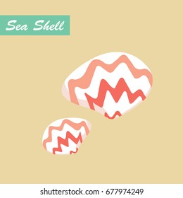 Seashell vector.