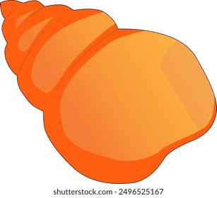 Seashell vector clipart - banded tulip seashell illustration