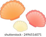 Seashell vector clipart - beach seashell - scallops shell illustration