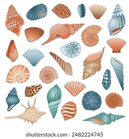 Seashell vector clipart collection. Coastal clam flat illustration. Nautical design elements on white background