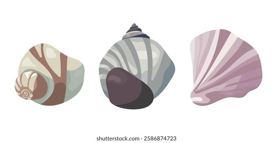 Seashell. Vector clipart illustration on isolated background.