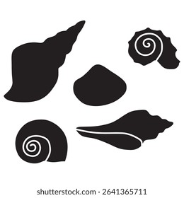 seashell vector design set. snail house

