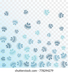 Seashell vector graphics, pearl bivalved mollusks illustration. Oceanic scallop, bivalve pearl shell, marine mollusk isolated wild life background. Minimalist sea shell graphic design.