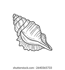 Seashell vector hand drawn. line art vector isolated available for edited. use for iconic summer beach.