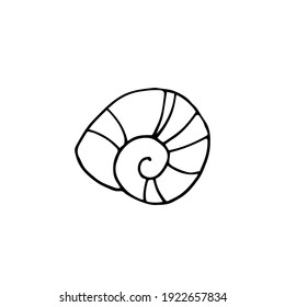 Concha. Ilustración del doodle dibujada a mano por vectores. contorno blanco y negro. Colores para los niños.