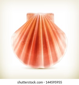 Seashell, vector icon