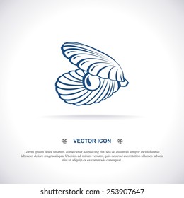 Seashell vector icon.