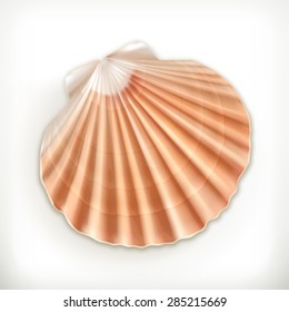 Seashell, vector icon