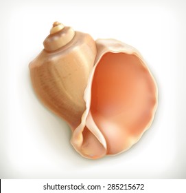 Seashell, vector icon