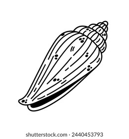 Seashell vector icon. Relief cone shell with spots and stripes. Gastropod oceanic mollusk, underwater creature. Hand drawn doodle, sea sketch. Aquarium animal. Black and white clipart for print, web