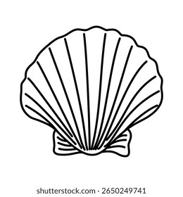 Seashell vector icon set. Shell illustration sign collection. conch symbol. Sea Life web icons.