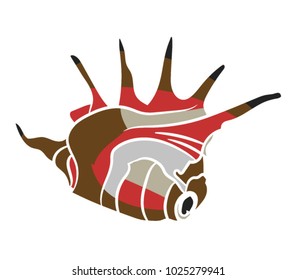 seashell vector illustration