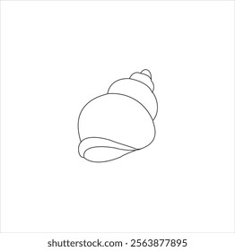 Seashell  vector illustration and art style with with background