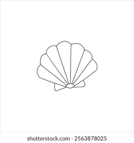 Seashell  vector illustration and art style with with background