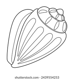Seashell vector illustration. Black and white outline Seashell Coloring page for kids and adults. Page for relaxation and meditation. Vector illustration