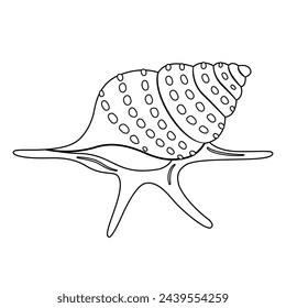 Seashell vector illustration. Black and white outline Seashell Coloring page for kids and adults. Page for relaxation and meditation. Vector illustration
