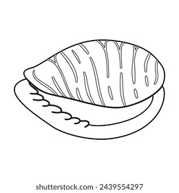 Seashell vector illustration. Black and white outline Seashell Coloring page for kids and adults. Page for relaxation and meditation. Vector illustration