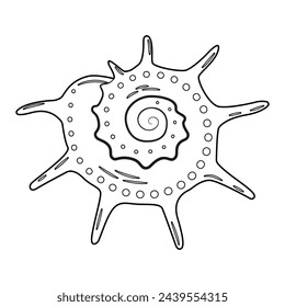 Seashell vector illustration. Black and white outline Seashell Coloring page for kids and adults. Page for relaxation and meditation. Vector illustration