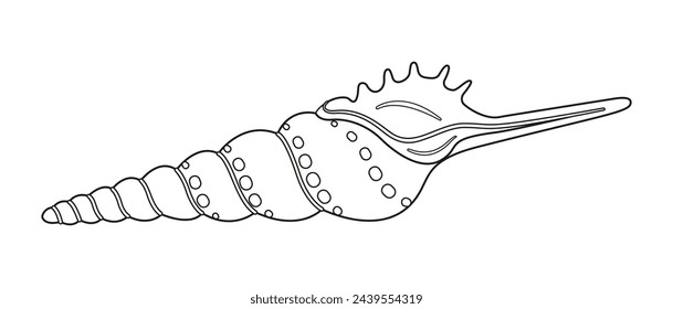 Seashell vector illustration. Black and white outline Seashell Coloring page for kids and adults. Page for relaxation and meditation. Vector illustration