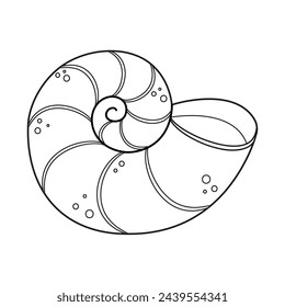 Seashell vector illustration. Black and white outline Seashell Coloring page for kids and adults. Page for relaxation and meditation. Vector illustration