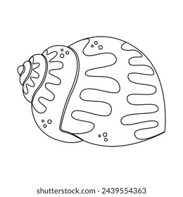 Seashell vector illustration. Black and white outline Seashell Coloring page for kids and adults. Page for relaxation and meditation. Vector illustration