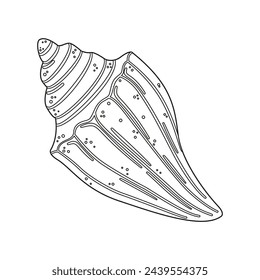 Seashell vector illustration. Black and white outline Seashell Coloring page for kids and adults. Page for relaxation and meditation. Vector illustration