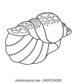 Seashell vector illustration. Black and white outline Seashell Coloring page for kids and adults. Page for relaxation and meditation. Vector illustration