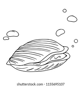 Seashell. Vector illustration of a closed seashell. Hand drawn closed shell with pearls.