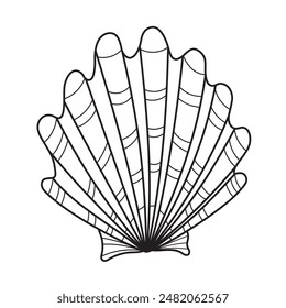 Seashell Vector illustration. Hand drawn linear sketch of sea Shell. Outline Drawing of seashore for nautical design. Engraving of Cockleshell for icon or logo. Marine black line element.