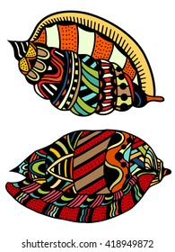 Seashell. Vector illustration. Hand drawn artwork. Beach concept for restaurant menu card, ticket, branding, logo label.