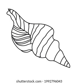 Ilustración vectorial de conchas marinas aisladas en fondo blanco