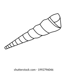 Seashell vector illustration isolated on white background