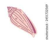 Seashell vector illustration. Pink cone shell with spots and stripes. Oceanic mollusk, underwater creature. Hand drawn doodle, sea animal sketch. Aquarium cockleshell. Marine cartoon isolated clipart