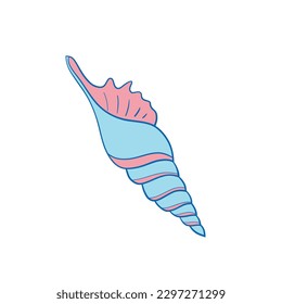 Seashell vector illustration for your design