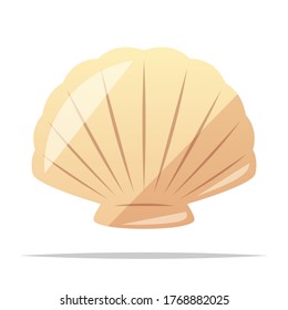 Seashell vector isolated illustration design