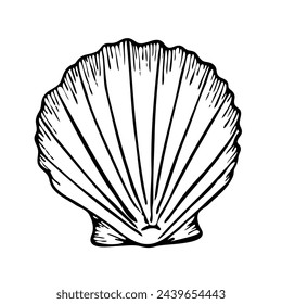 Seashell vector line art illustration top view. Hand drawn sketch of scallop. Undersea drawing of seashell.  Isolated design element in outline style for icon, logo, seafood shop, menu, coloring.