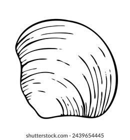 Vista superior de ilustración de línea vectorial de concha marina. Dibujado a mano boceto de vieira. Dibujo submarino de concha marina.  Elemento de diseño aislado en estilo de contorno para icono, logotipo, tienda de mariscos, menú, colorear.