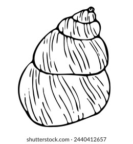 Seashell vector line art illustration. Hand drawn maritime sketch of seashell. Undersea drawing of seashell.  Isolated design element in outline style for icon, logo, seafood shop, menu, coloring.