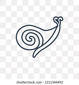 Seashell vector outline icon isolated on transparent background, high quality linear Seashell transparency concept can be used web and mobile